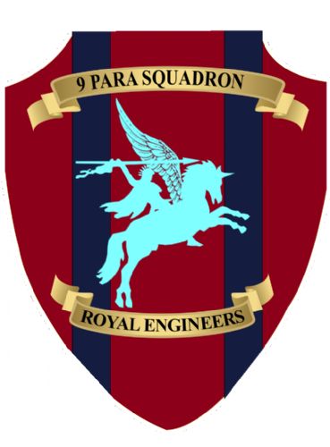 9 Para Squadron Plaque